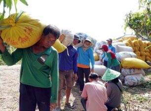 Indonesia xem Việt Nam là một trong 5 nguồn cung chính cho 2 triệu tấn gạo