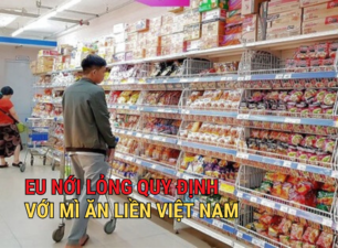 EU nới lỏng quy định với mì ăn liền Việt Nam