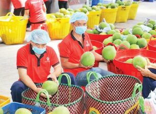 Tăng hiệu quả xuất khẩu nông sản sang Trung Quốc