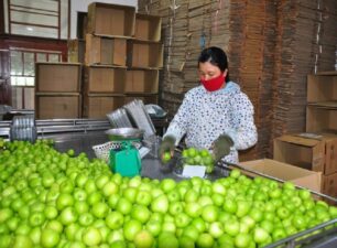 Đẩy mạnh sản xuất nông nghiệp theo chuỗi giá trị tại Ninh Thuận