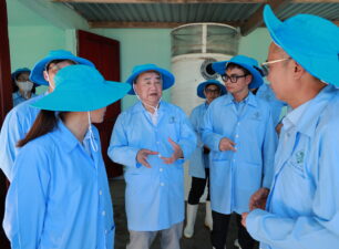 Hướng đến xây dựng “thủ phủ tôm hùm” lớn mạnh bền vững tại Phú Yên