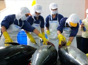 Xuất khẩu cá ngừ sang Israel là điểm sáng tại khu vực Trung Đông