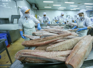 Xuất khẩu cá ngừ Việt Nam “trái dấu” tại thị trường Mỹ và EU