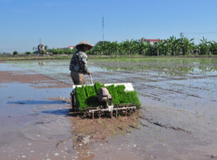 Kim Sơn đẩy mạnh tuyên truyền nông dân mở rộng diện tích lúa cấy