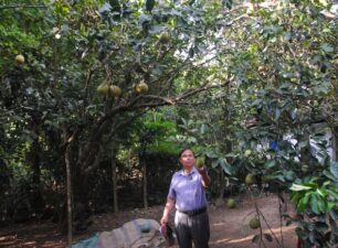Ứng dụng và phát triển công nghệ Sofix vào sản xuất nông nghiệp ở Thừa Thiên Huế