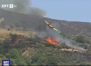 Máy bay Hy Lạp lao đầu xuống đất khi đang chữa cháy rừng