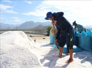 Vì sao Việt Nam phải nhập khẩu muối?