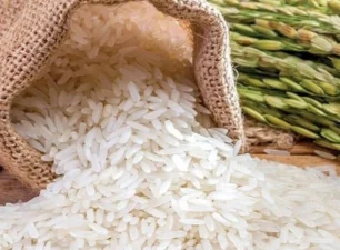 Giá lúa gạo lên cao, Thủ tướng ra chỉ thị “nóng”