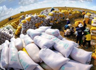 Tăng cường xuất khẩu gạo trước thời cơ “vàng”