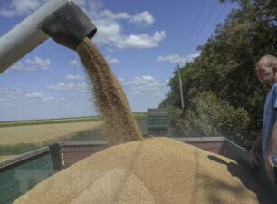 Xuất khẩu ngũ cốc của Ukraine gia tăng từ đầu niên vụ 2023-2024