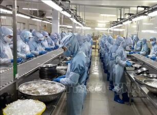 Xuất khẩu gạo 8 tháng của Sóc Trăng tăng hơn 16,5%