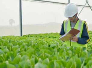Doanh nghiệp nông nghiệp: Làm gì để không “lệch nhịp” với sản xuất nông nghiệp?