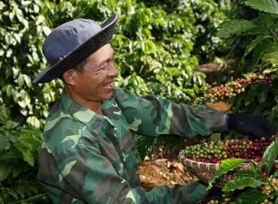Xuất khẩu cà phê tăng cao, Việt Nam quyết xây dựng vùng cà phê đạt chuẩn