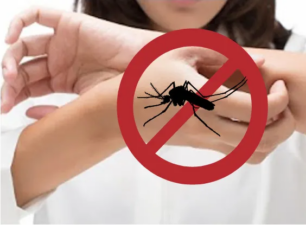 Biện pháp tránh bị muỗi đốt, phòng tránh hiệu quả sốt xuất huyết