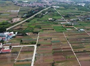 Hà Nội chuyển đổi gần 300ha đất nông nghiệp sang phi nông nghiệp