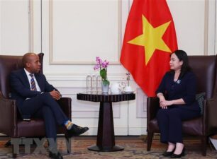 Việt Nam-Nam Phi còn nhiều tiềm năng hợp tác kinh tế, thương mại