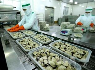 Sản phẩm ngao Việt Nam chinh phục gần 60 thị trường trên thế giới