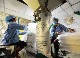 Thúc đẩy hoạt động xuất khẩu gạo của Việt Nam sang Trung Quốc