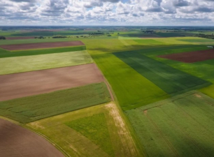 Mỹ: Các quỹ đầu tư coi đất nông nghiệp như một nơi trú ẩn an toàn