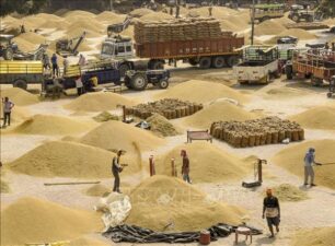 Giá gạo tăng tại hầu hết các ‘vựa lúa’ của châu Á