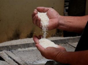 Indonesia nhập khẩu thêm 1 triệu tấn gạo từ Việt Nam và 3 nước khác