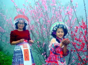 Sơn La: Đèo Pha Đin ngập tràn sắc hoa, hấp dẫn du khách thập phương