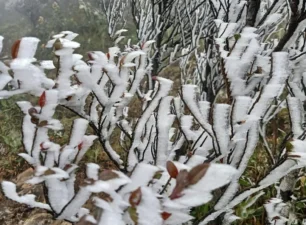 Băng giá bao phủ, tạo ra hình ảnh thiên nhiên kỳ thú ở các đỉnh núi cao Lào Cai