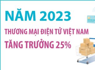 Năm 2023, thương mại điện tử Việt Nam tăng trưởng 25%