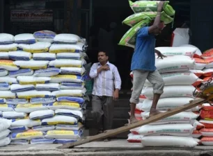 Các nhà xuất khẩu gạo Ấn Độ đối mặt nhiều thách thức trong năm 2024