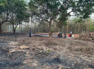 Bình Phước: Làm rõ vụ nghi cháy vườn rẫy khiến một người tử vong