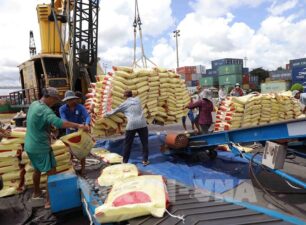 Gia tăng cơ hội xuất khẩu gạo sang Indonesia