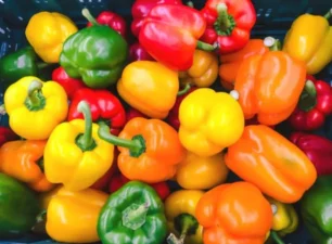 Những lợi ích đáng kinh ngạc của ớt chuông đối với sức khỏe