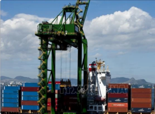 Brazil nhập khẩu hàng hóa từ Việt Nam tăng 42%