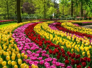 Những địa điểm ngắm hoa Xuân đẹp nhất châu Âu