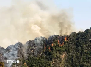 Sơn La: Khoảng 100 người khống chế đám cháy trên núi đá vôi ở Mai Sơn