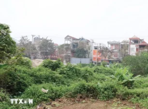 Hà Nội: Ủy quyền cho UBND cấp huyện quyết định giá đất từ ngày 22/5/2024